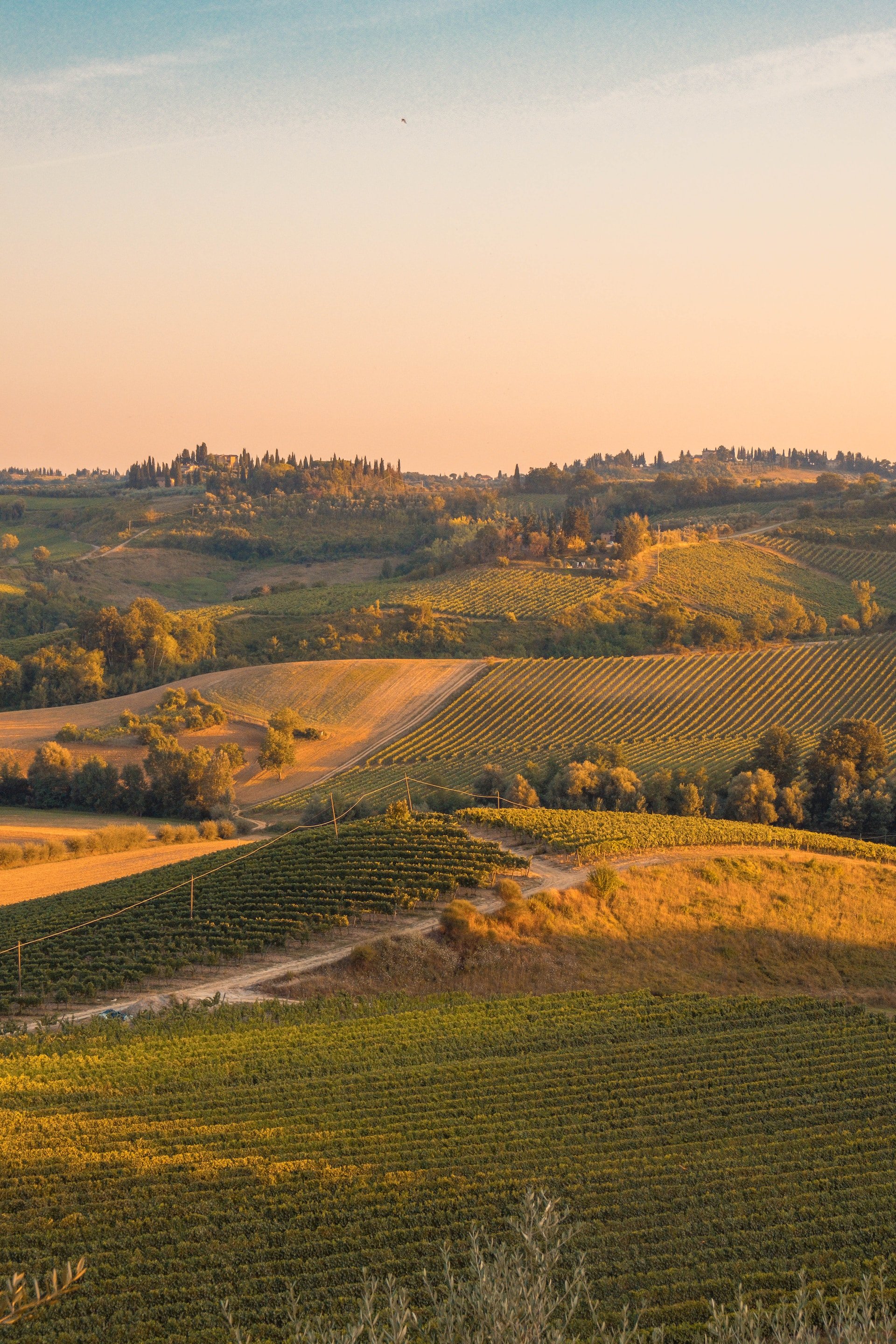 Visit one of the region’s many family-run vineyards for a guided tasting of bold reds and olive oil pairings — all surrounded by golden hills and cypress trees.